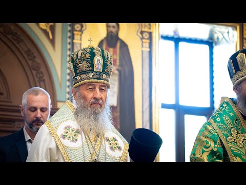 Терпіння скорбот і хвороб є шляхом спасіння в наш час — Предстоятель