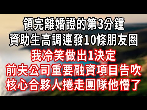 領完離婚證的第3分鐘，資助生高調連發10條朋友圈，我冷笑做出1決定，前夫公司重要融資項目告吹，核心合夥人捲走團隊他懵了！#言情故事 #情感故事 #家庭故事 #小說 #戀愛 #婚姻 #爽文 #大女主