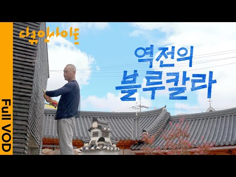 Generation MZ Jumps into Physical Work! | KBS Documentary Insight - Blue Collar Reversal (251113)