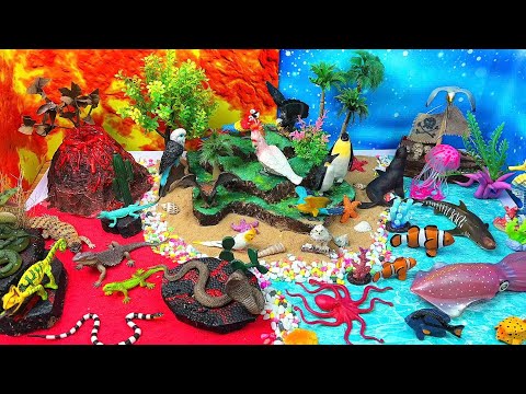 ππ¦π Exploring Volcano Land, Bird Island & Ocean World | Fun Animal Diorama