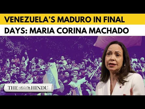 Nobel Prize recognises that peace requires democracy and freedom: Machado