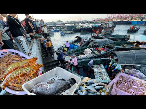 廣西 北海市 電建漁港 僑港碼頭魚市場 海鮮市場 活花蝦120一斤 河豚10元一斤 魷魚 攋尿蝦 皮皮蝦 梭子蟹 白鯧魚 針魚 Seafood Market StreetFood Citywalk