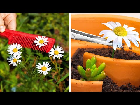 Invisible Gardening Hacks: Secret Problem Solvers