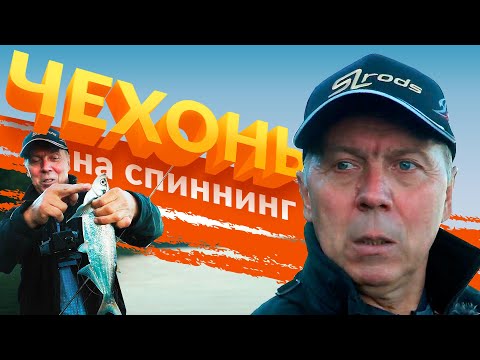Как поймать чехонь на спиннинг. Валерий Новосадов.