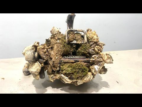 Restoration Old Fishing Machines Daiwa Tanasensor Full of Oysters | Restore Fishing-Rod Japan