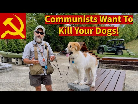 Communists Want To Kill Your Dogs | A Warning From History