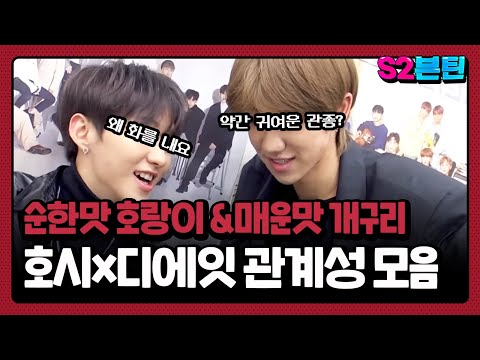[세븐틴] S2븐틴 Ep.11 호시x디에잇 관계성 모음｜순한맛 호랑이와 매운맛 개구리 과몰입 형제