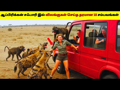 ஆப்பிரிக்கன் சஃபாரி இல் விலங்குகள் செய்த தரமான 15 சம்பவங்கள் 2025/Safari Trips Went Horribly Wrong
