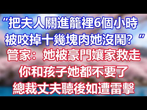 “把夫人關進籠裡6個小時，被咬掉十幾塊肉她沒鬧？”管家：她被豪門孃家救走，你和孩子她都不要了，總裁丈夫聽後如遭雷擊