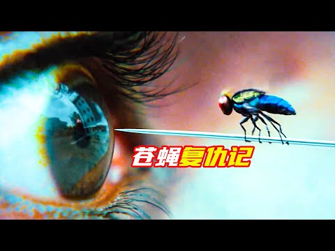 男人轉世成蒼蠅，上天入地無所不能；奇幻喜劇，功夫小蠅，解説