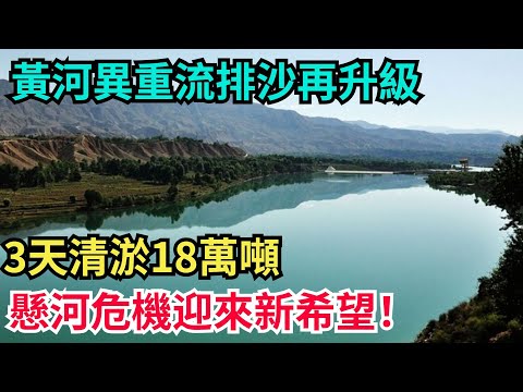 黃河異重流排沙再升級！3天清淤18萬噸，懸河危機迎來新希望！#科普#超級工程#施工#中國基建#建造#中國製造#工程#水利工程