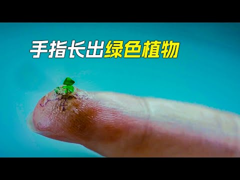 手指上長出綠色植物，這是怎麼回事，科幻，奇幻，電影，解說，獵奇，懸疑，超能力