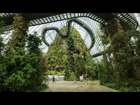 Paul Baker interview: Wilkinson Eyre's Gardens by the Bay in Singapore | Architecture | Dezeen