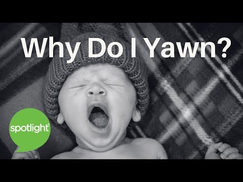 Why Do I Yawn? | practice English with Spotlight
