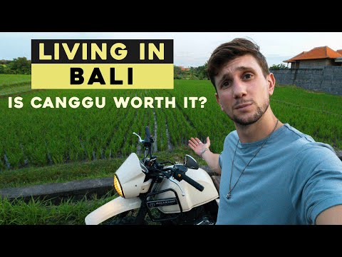 What's living in Bali REALLY like??