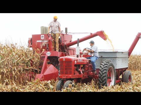 Vintage Combines Harvesting Corn at Half Century of Progress Show 2025 | Great Action