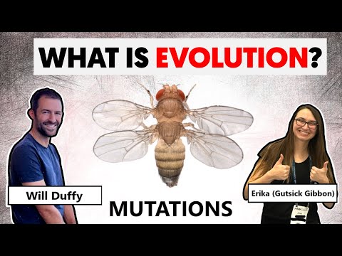 Teaching Famous Creationist Will Duffy Evolutionary Theory (LIVE) Mutations
