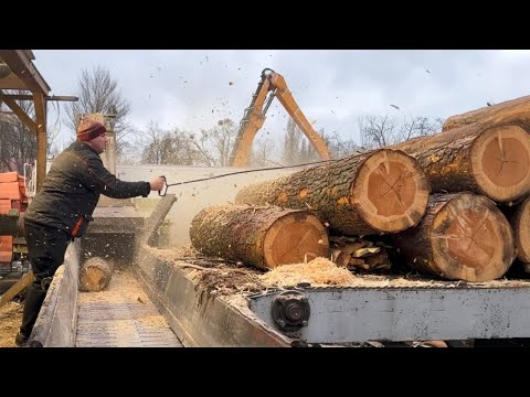 BRUTAL Log Feeding Operations for TV