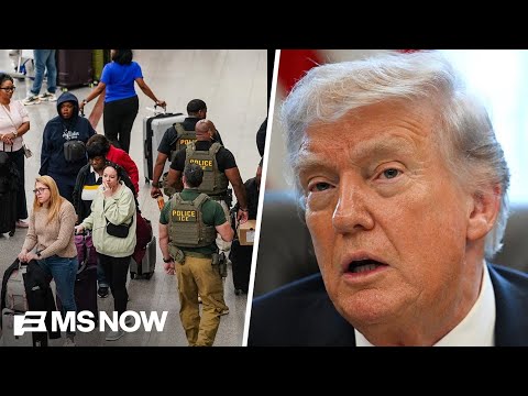 ICE knows how to run the border, not aviation security: TSA worker