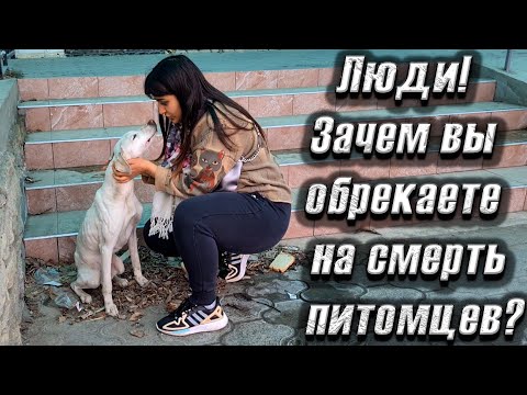 Мы увидели трясущегося СКЕЛЕТА😱 потом он укусил Валеру и его положили в больницу😔