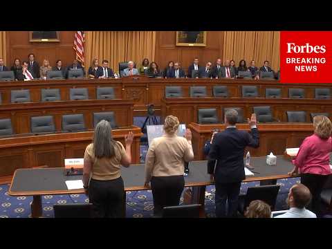 Angel Families Share Their Heartbreaking Stories Before The House Judiciary Committee