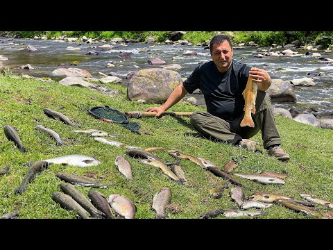 Chef Tavakkul Caught A Whole Bucket of Fish and Cooked a Real Delicacy by  a Signature Recipe!