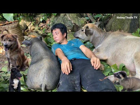 Vietnamese man adopts a strange animal and always loves and cares for his pet