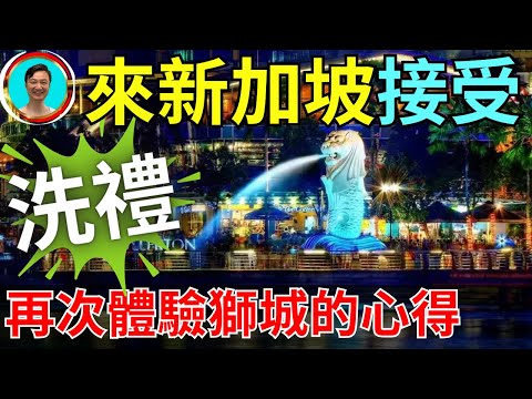 感覺“回家”了！熟悉的味道，熟悉的街道，熟悉的氣溫，一切都是那麼的熟悉！新加坡，我終於回來了！新加坡 | 新加坡旅遊 | 新加坡美食 | 新加坡天氣 | 花園城市 |