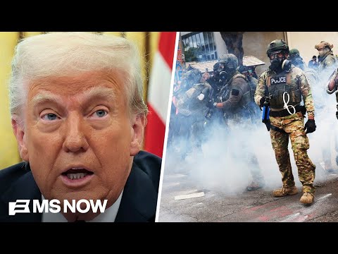 Worst of the worst? DHS doc shows less than 14% detained by ICE have criminal history: Report