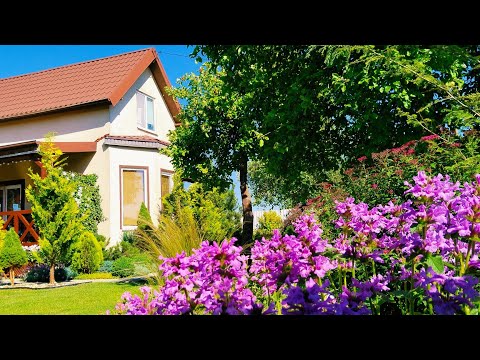 Как КРАСИВО ОТДЕЛИТЬ ОГОРОД от ЗОНЫ ОТДЫХА 🏠 🌿Сам Себе Дизайнер. Мой Опыт.  #огород