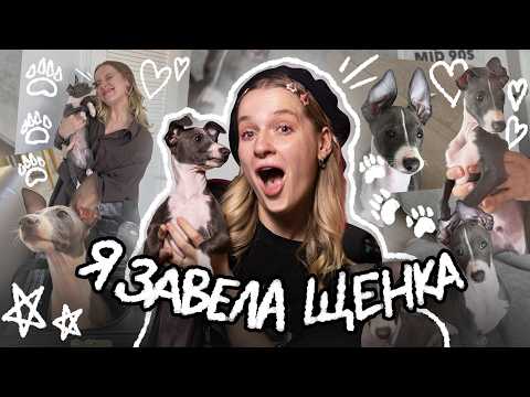 Я ЗАВЕЛА СОБАКУ! (я мечтала об этом всю жизнь)