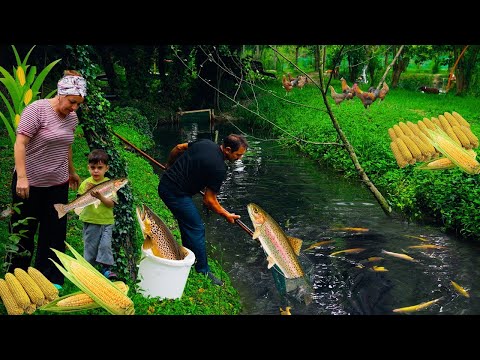 Fish Farming, Cooking and Gardening | 2 Hours of Our MOST WATCHING Videos!