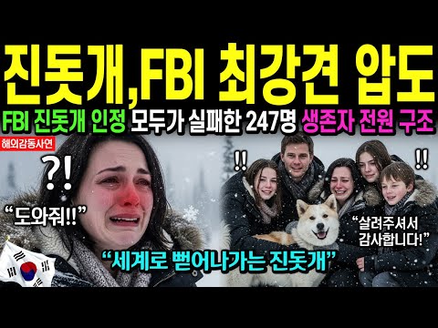 [해외감동사연] 한국 진돗개 FBI 최강견 압도! 미국과의 자존심 싸움 이겼다, FBI가 진돗개에 무릎 꿇은 이유.