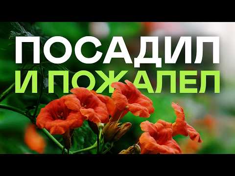 Never Plant These Plants! And Here's Why...