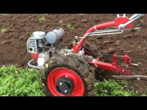 Осенняя вспашка мотоблоком МоторСич МБ-6 на R16. Почему так поздно? 17.11.2019г.