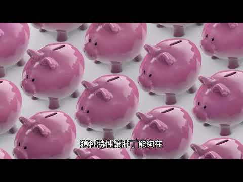 [寶可夢系列]EP013 - 胖丁 | 胖可丁