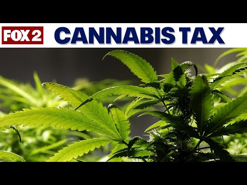 State judge upholds Michigan wholesale cannabis tax