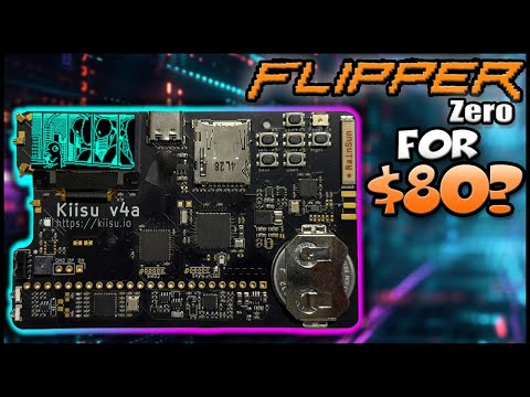 Meet KIISU: Flipper Zero's Super Affordable Cousin!!