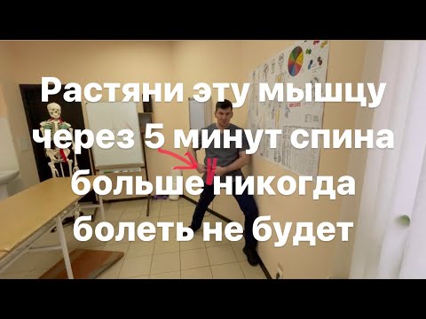 Эту мышцу растяни через 5 минут спина болеть не будет никогда больше