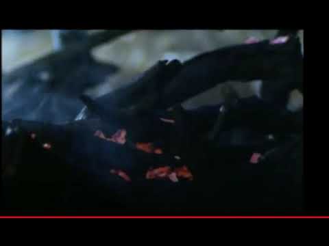 Иосиф Бродский. Так люблю Вас...