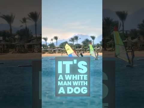 New Bums #hopecore #hope #core #funny #standupcomedy #newyork #bums #queens #dog #homeless #rent #fy