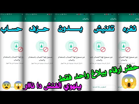 طريقه تفنيش الارقام الاساسية بدون حزف حساب 2024| حظر ارقام الواتساب ببلاغ واحد فقط| تفنيش بدون حزف🤯