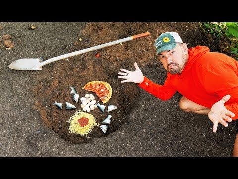 We Buried Common Kitchen Scraps in the Garden and THIS Happened 🤯