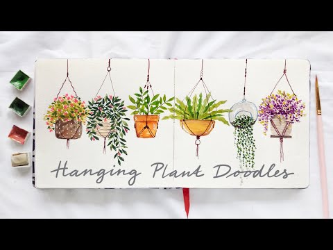 Hanging Plant Doodles: Watercolor Tutorial