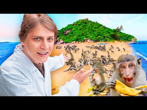 НА ОСТРОВЕ ДИКИХ ОБЕЗЬЯН!
