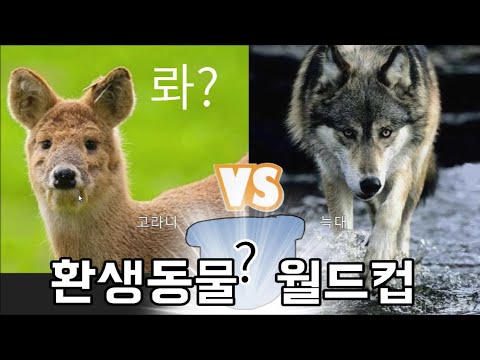 환생(!)하고 싶은 동물 월드컵