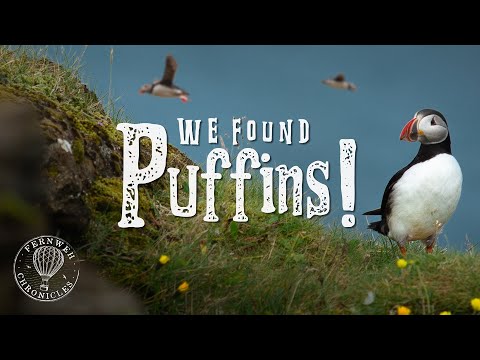 7 Free Things To Do In ICELAND!