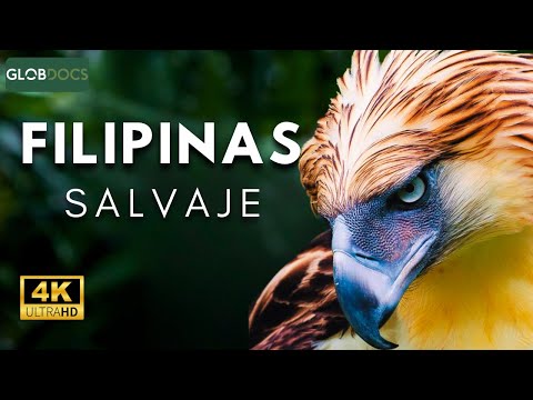 The Kingdom of the Hidden Creatures | FULL DOCUMENTARY
