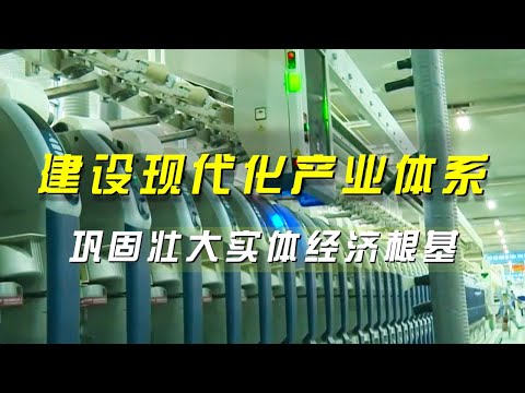 “十五五”规划：从怎么看到怎么干 建设现代化产业体系 巩固壮大实体经济根基《央视财经评论》 20251029 |  财经风云