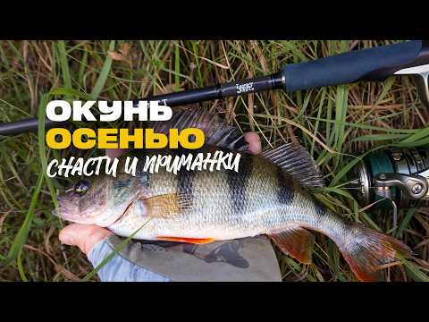 Разные Приманки и Снасти на Окуня На Что Ловить Осенью на Спиннинг